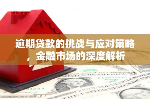 稻城逾期贷款的挑战与应对策略，金融市场的深度解析