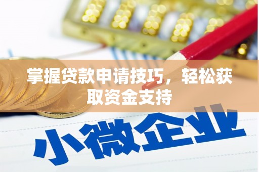 稻城掌握贷款申请技巧，轻松获取资金支持