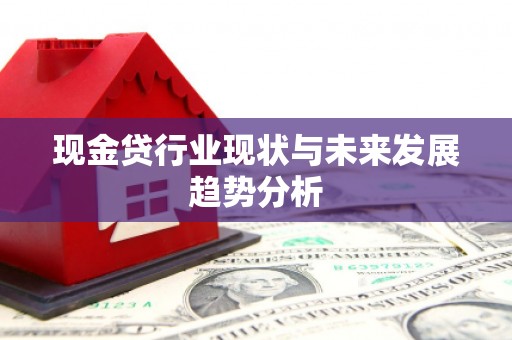 稻城现金贷行业现状与未来发展趋势分析