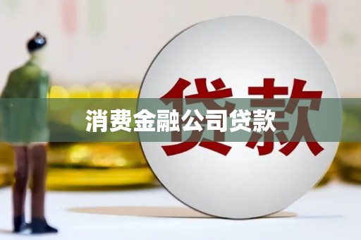 稻城消费金融公司贷款