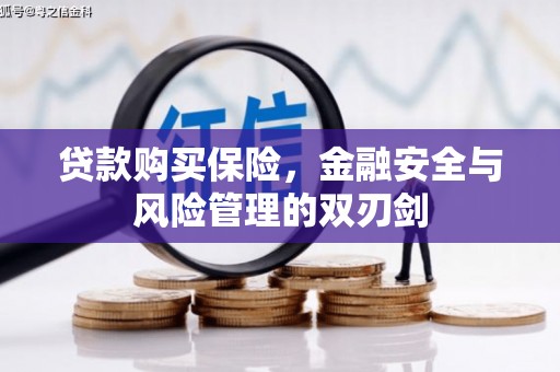 稻城贷款购买保险，金融安全与风险管理的双刃剑