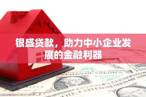 稻城银盛贷款，助力中小企业发展的金融利器