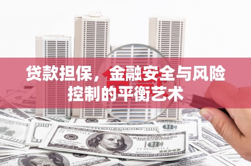稻城贷款担保，金融安全与风险控制的平衡艺术