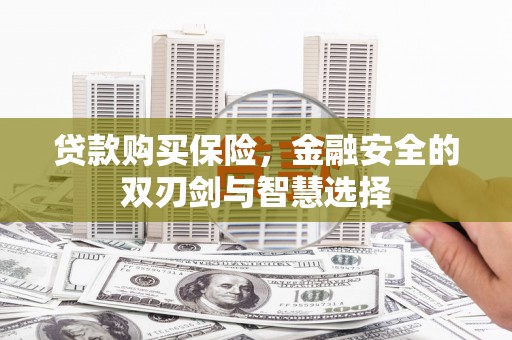 稻城贷款购买保险，金融安全的双刃剑与智慧选择