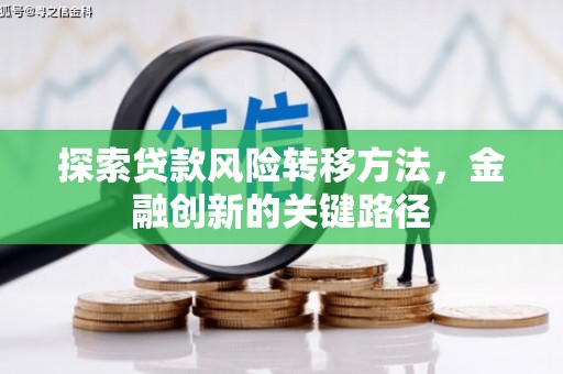 稻城探索贷款风险转移方法，金融创新的关键路径