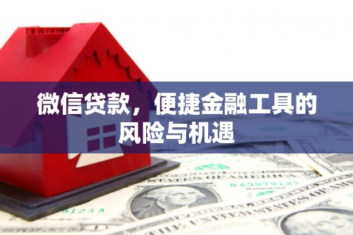 稻城微信贷款，便捷金融工具的风险与机遇
