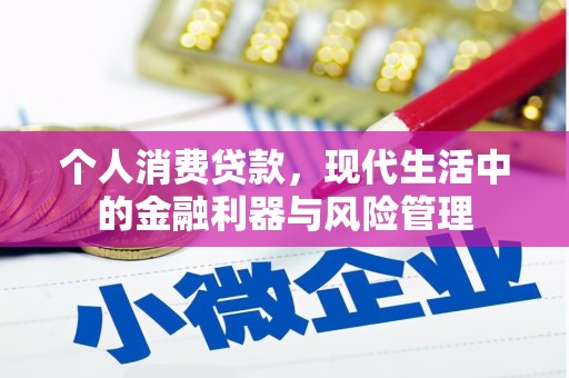 稻城个人消费贷款，现代生活中的金融利器与风险管理