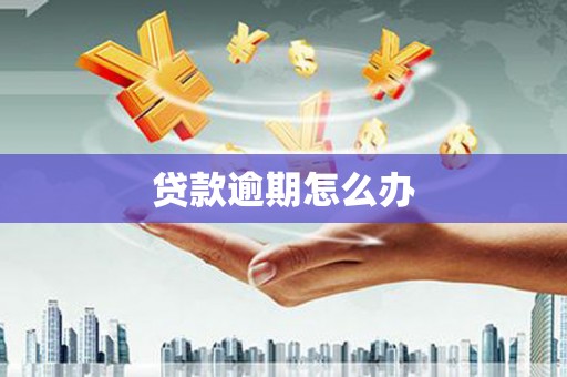 稻城贷款逾期怎么办