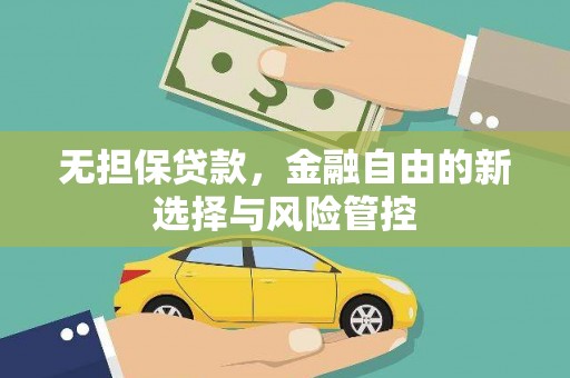 稻城无担保贷款，金融自由的新选择与风险管控