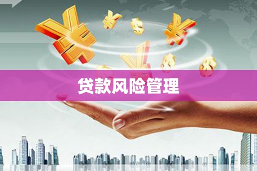 稻城贷款风险管理