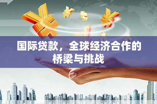 稻城国际贷款，全球经济合作的桥梁与挑战