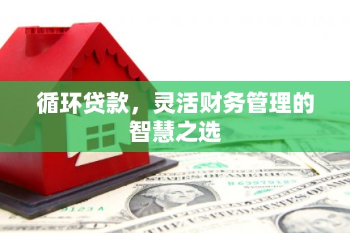 稻城循环贷款，灵活财务管理的智慧之选