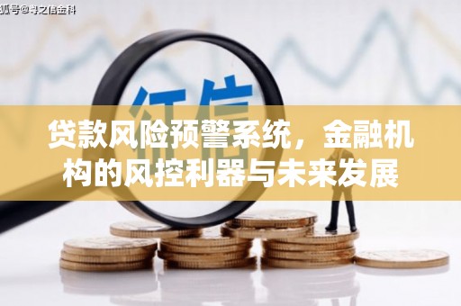 稻城贷款风险预警系统，金融机构的风控利器与未来发展