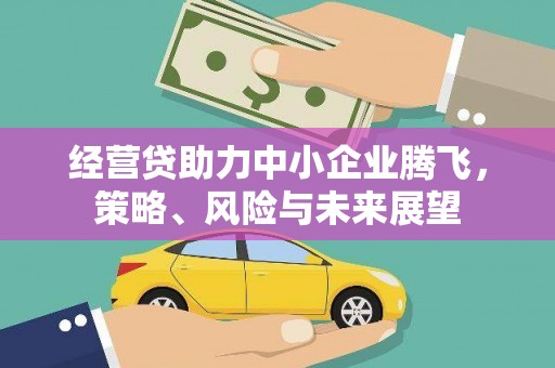 稻城经营贷助力中小企业腾飞，策略、风险与未来展望