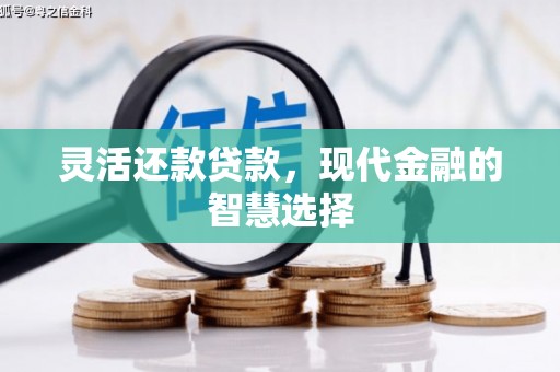 稻城灵活还款贷款，现代金融的智慧选择