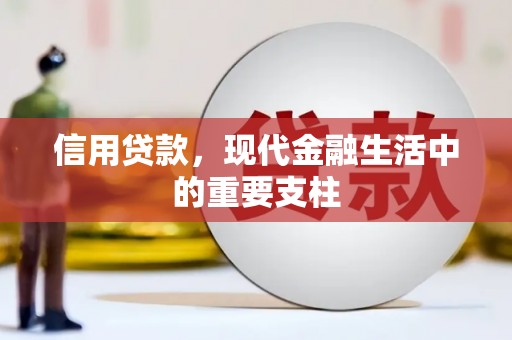 稻城信用贷款，现代金融生活中的重要支柱