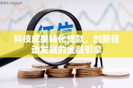 稻城科技成果转化贷款，创新驱动发展的金融引擎