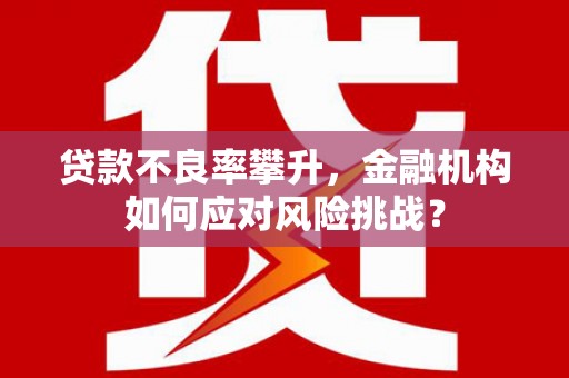 稻城贷款不良率攀升，金融机构如何应对风险挑战？