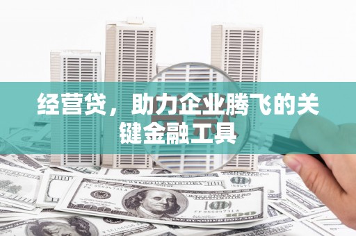 稻城经营贷，助力企业腾飞的关键金融工具