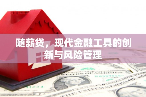 稻城随薪贷，现代金融工具的创新与风险管理