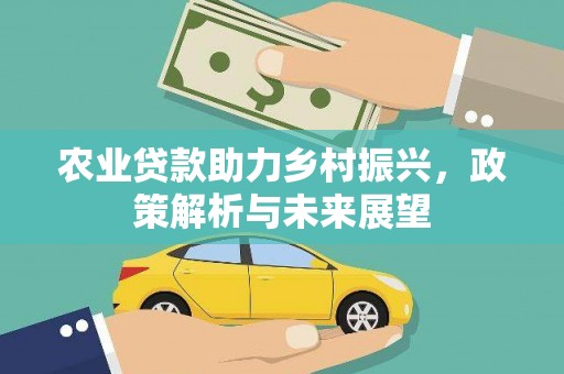 稻城农业贷款助力乡村振兴，政策解析与未来展望
