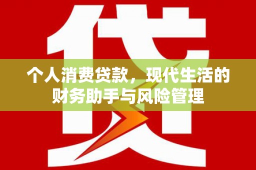 稻城个人消费贷款，现代生活的财务助手与风险管理