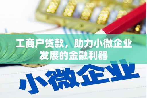 稻城工商户贷款，助力小微企业发展的金融利器