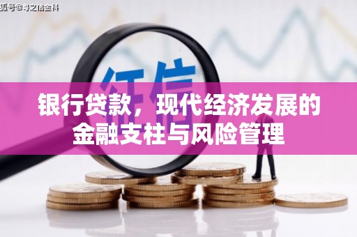 稻城银行贷款，现代经济发展的金融支柱与风险管理