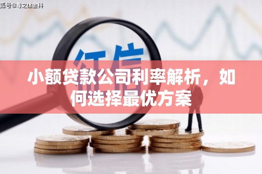 稻城小额贷款公司利率解析，如何选择最优方案