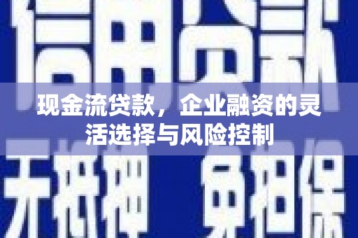 稻城现金流贷款，企业融资的灵活选择与风险控制