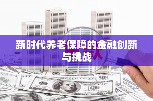 稻城新时代养老保障的金融创新与挑战