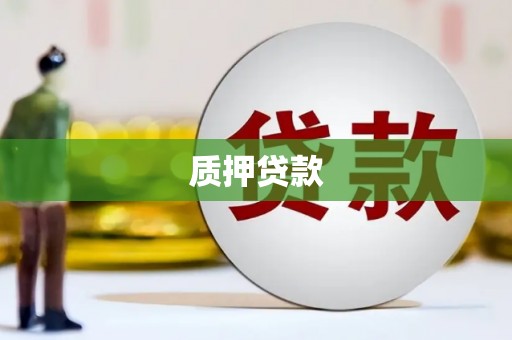 稻城质押贷款