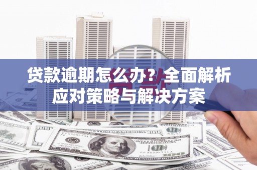 稻城贷款逾期怎么办？全面解析应对策略与解决方案