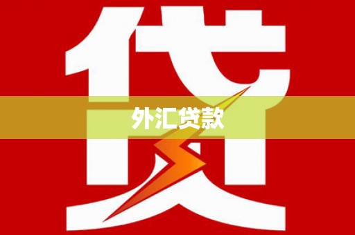 稻城外汇贷款