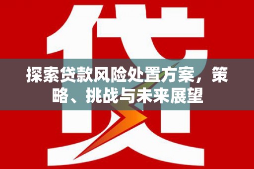 稻城探索贷款风险处置方案，策略、挑战与未来展望