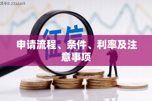稻城申请流程、条件、利率及注意事项