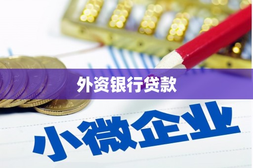 稻城外资银行贷款