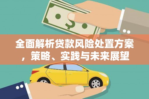 稻城全面解析贷款风险处置方案，策略、实践与未来展望