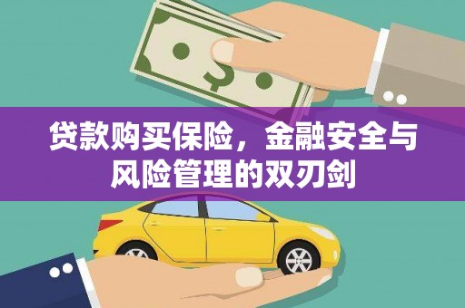 稻城贷款购买保险，金融安全与风险管理的双刃剑