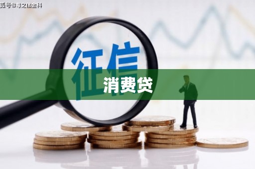 稻城消费贷