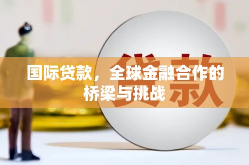 稻城国际贷款，全球金融合作的桥梁与挑战