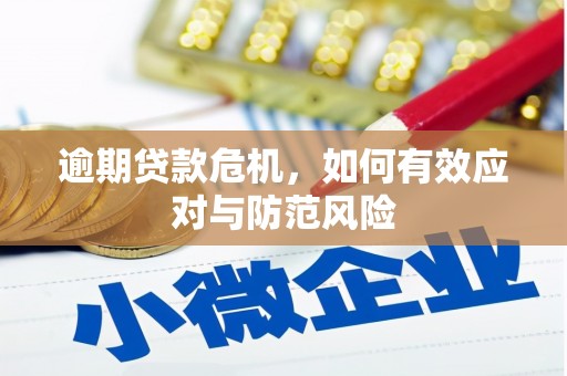 稻城逾期贷款危机，如何有效应对与防范风险