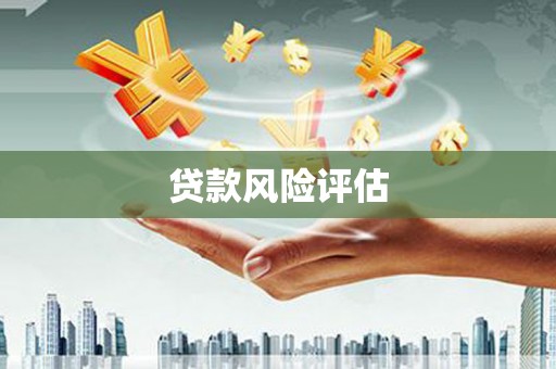稻城贷款风险评估