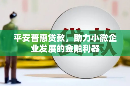 稻城平安普惠贷款，助力小微企业发展的金融利器