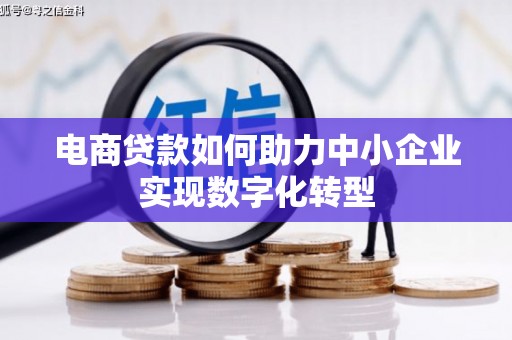 稻城电商贷款如何助力中小企业实现数字化转型
