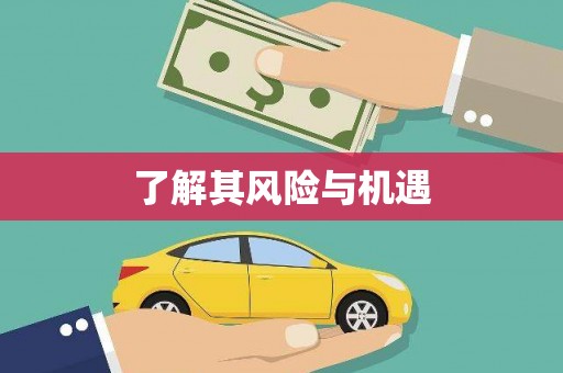 稻城了解其风险与机遇