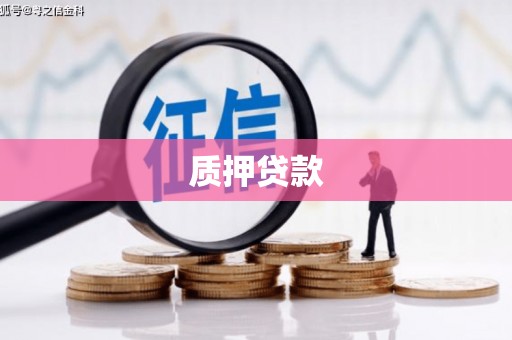 稻城质押贷款