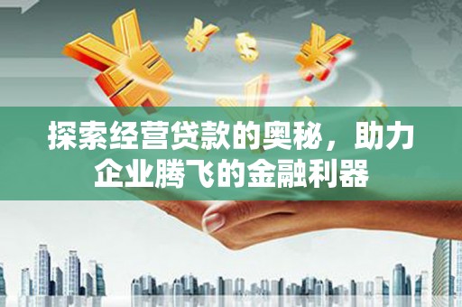 稻城探索经营贷款的奥秘，助力企业腾飞的金融利器