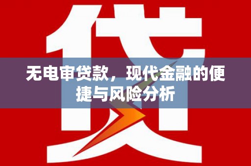 稻城无电审贷款，现代金融的便捷与风险分析
