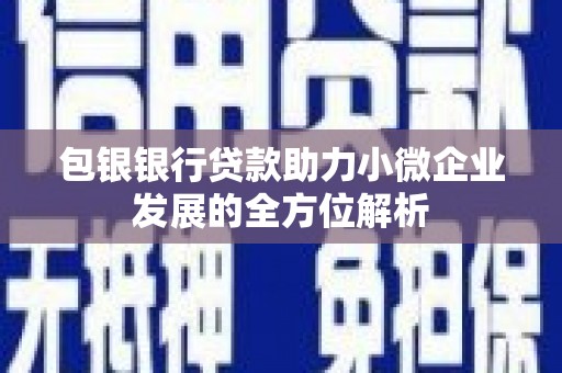 稻城包银银行贷款助力小微企业发展的全方位解析